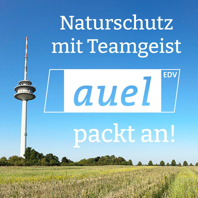 Auel packt an